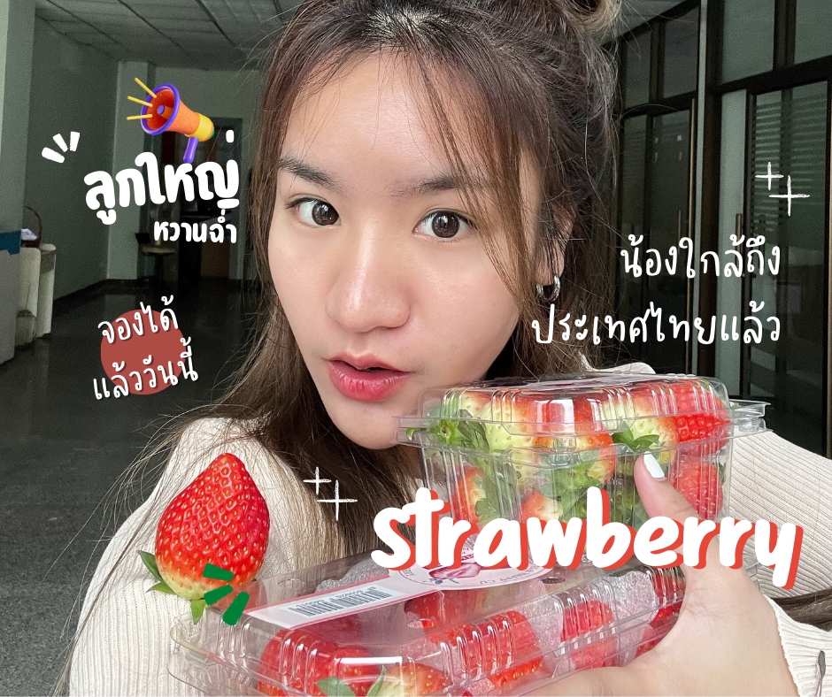เน็ตไอดอลและบล็อกเกอร์รีวิว - รีวิวคาเฟ่ เสื้อผ้า ที่พัก และสินค้าอื่นๆ รูปภาพและวิดิโอ (FB/IG/TIKTOK) - 7