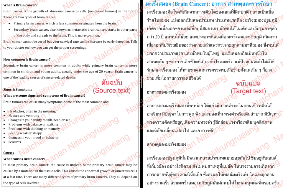 แปลภาษา - งานแปลประเภทต่าง ๆ - 2