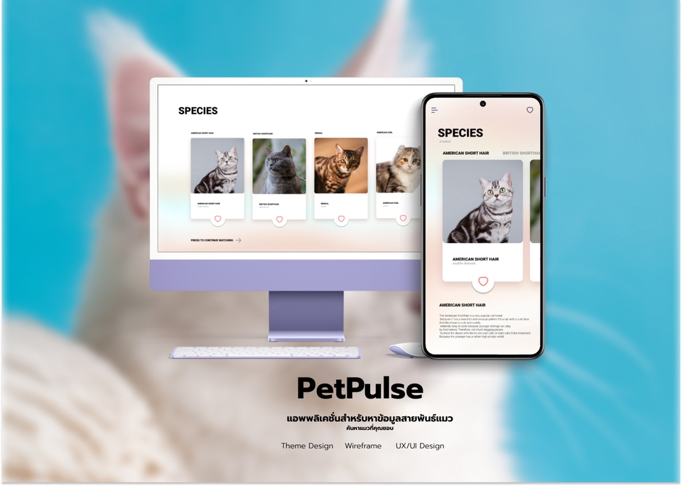 UX/UI Design for Web & App - มีประสบการ์ณด้าน UXUI ออกแบบ แอพ และเว็ป เว็ปแอพ แดชบอร์ด POS จาก figma - 3
