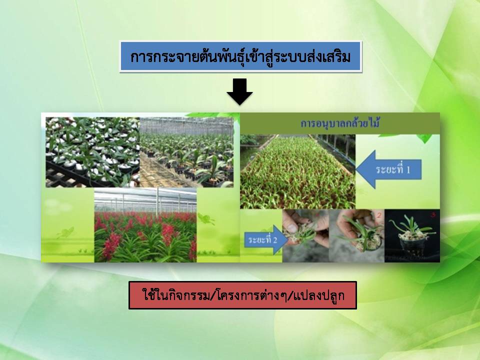 พิมพ์งาน และคีย์ข้อมูล - รับพิมพ์งานเอกสารต่างๆหรือเขียนรายงาน - 2