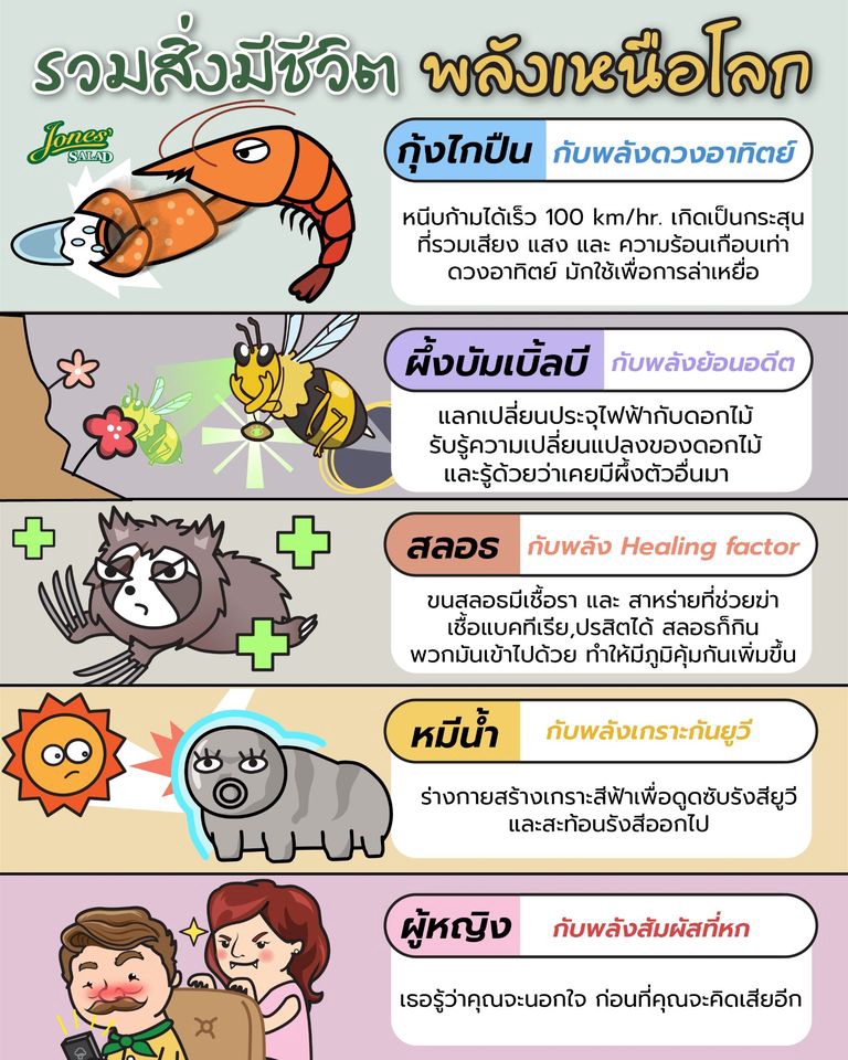 เขียนบทความ - เขียน บทความทั่วไป บทความ SEO, เขียน caption Facebook Ads - 6