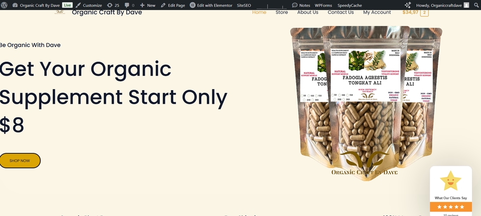 Web Development - Jasa Pembuatan Website Ecommerce Menggunakan Wordpress + Optimalisasi SEO + Google Ads - 13