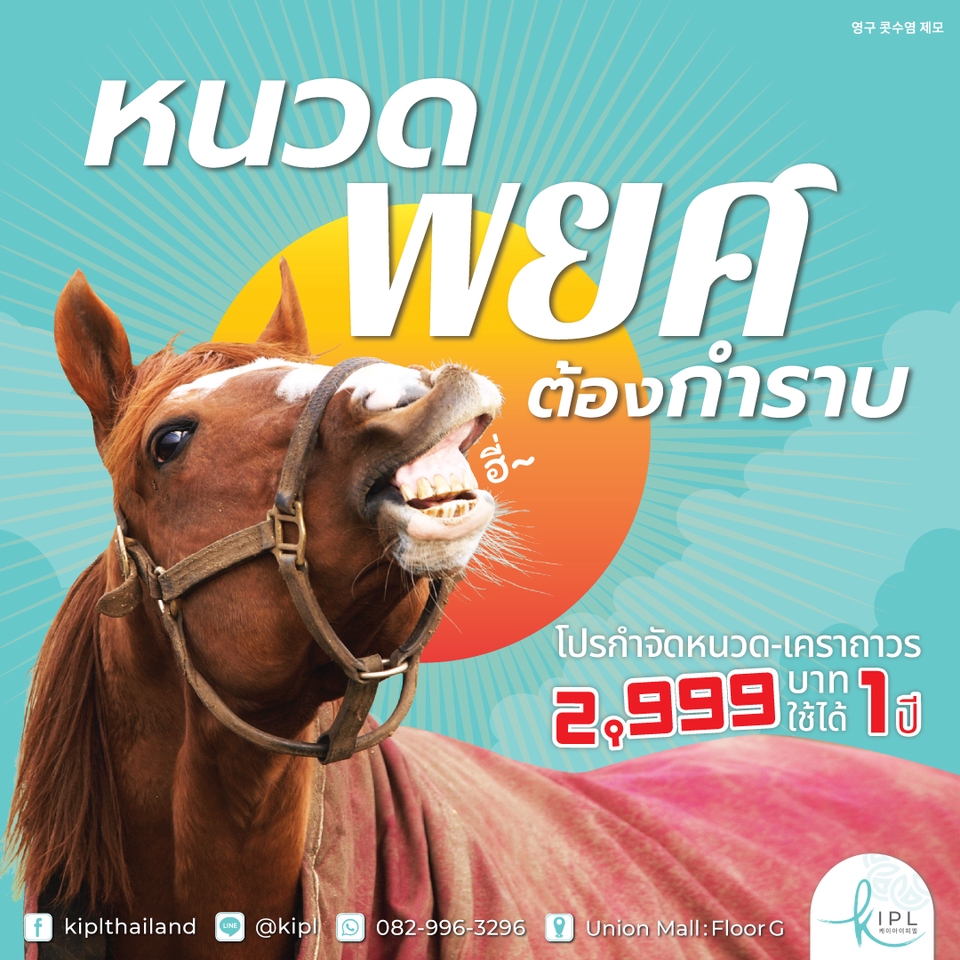 Banner โฆษณา - ออกแบบ Ads โฆษณา/โปรโมชั่น แถมภาพคลีนข้อความให้ลูกค้าไว้ใช้ซ้ำได้ - 6