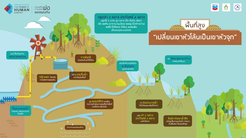 ออกแบบตกแต่งภายในและภายนอก - ออกแบบบ้านสวนเกษตร // ทำแบบก่อสร้าง BIM , As-built , BOQ - 10