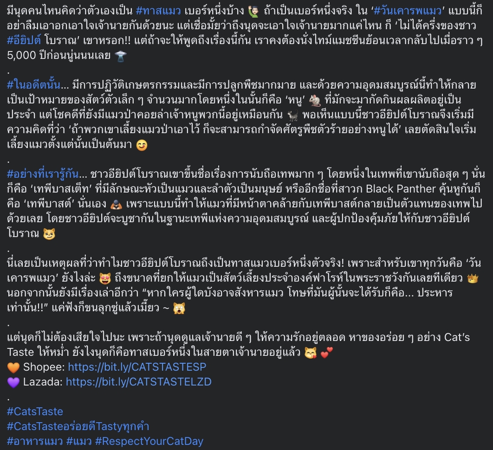 เขียนบทความ - Creative Content and Copywriting - 6