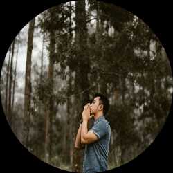 ariffoto