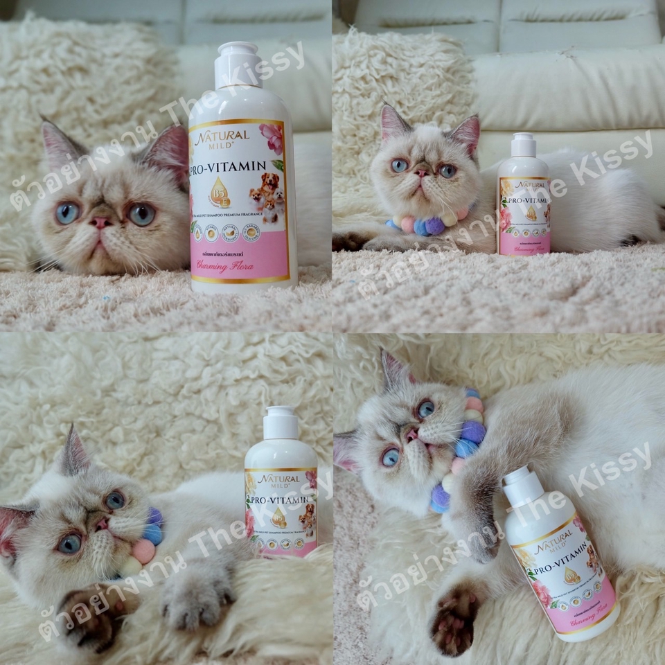 รับรีวิวสินค้า รับรีวิวเครื่องสำอาง บล็อกเกอร์รีวิวสินค้า เน็ตไอดอลรีวิว บล็อกเกอร์รีวิวเครื่องสำอาง หา influencer รีวิวสินค้า