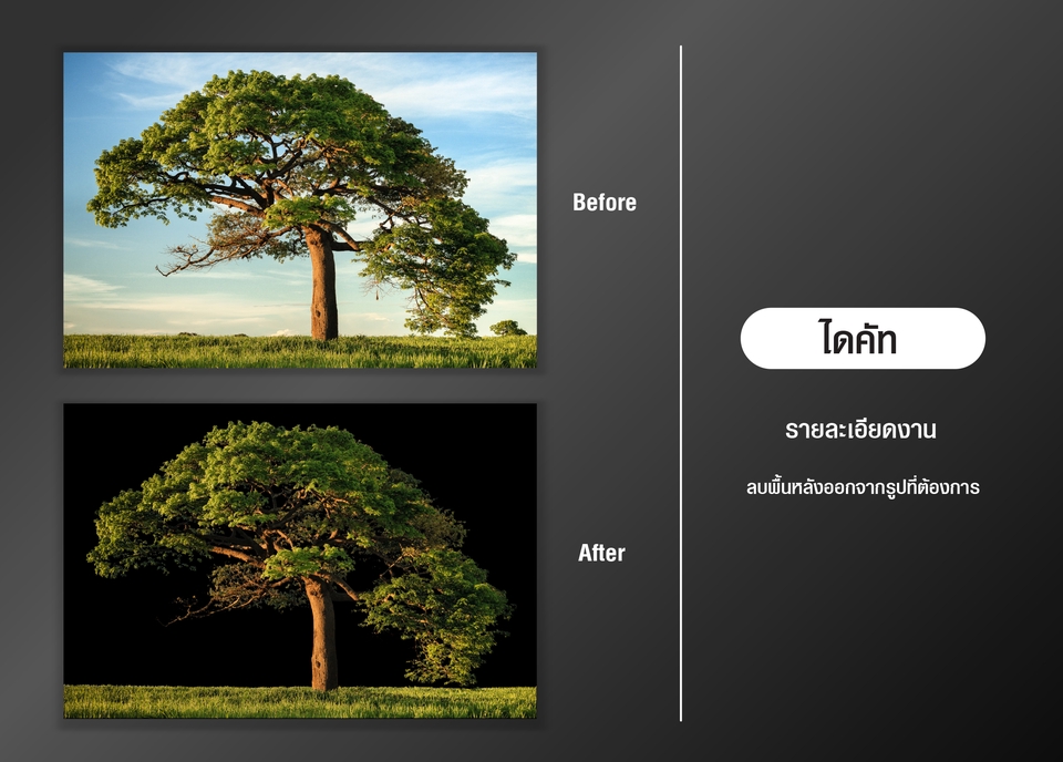 ไดคัท & Photoshop - ไดคัท รีทัช ตัดต่อ ตกแต่งภาพทุกรูปแบบ - 11