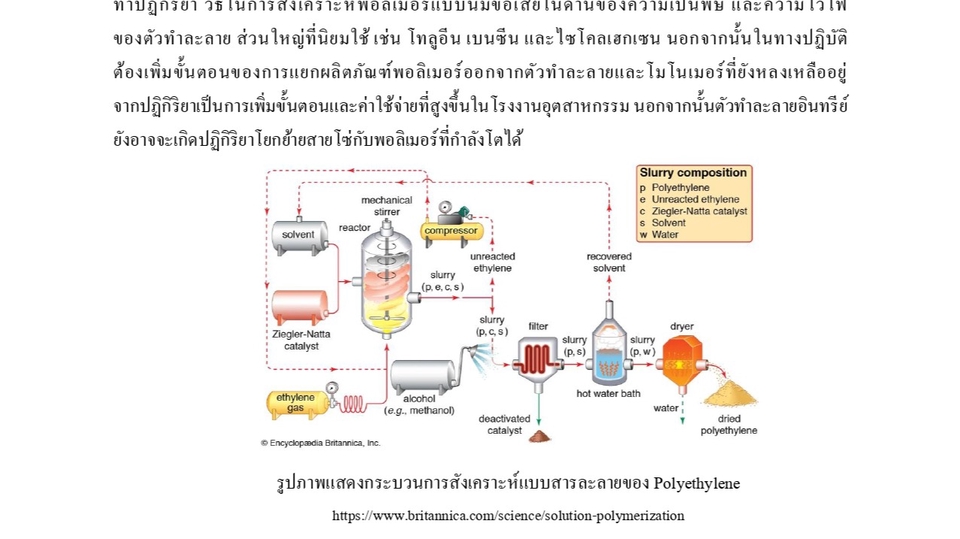 พิมพ์งาน และคีย์ข้อมูล - พิมพ์เอกสารทั้งภาษาไทยและภาษาอังกฤษ - 4
