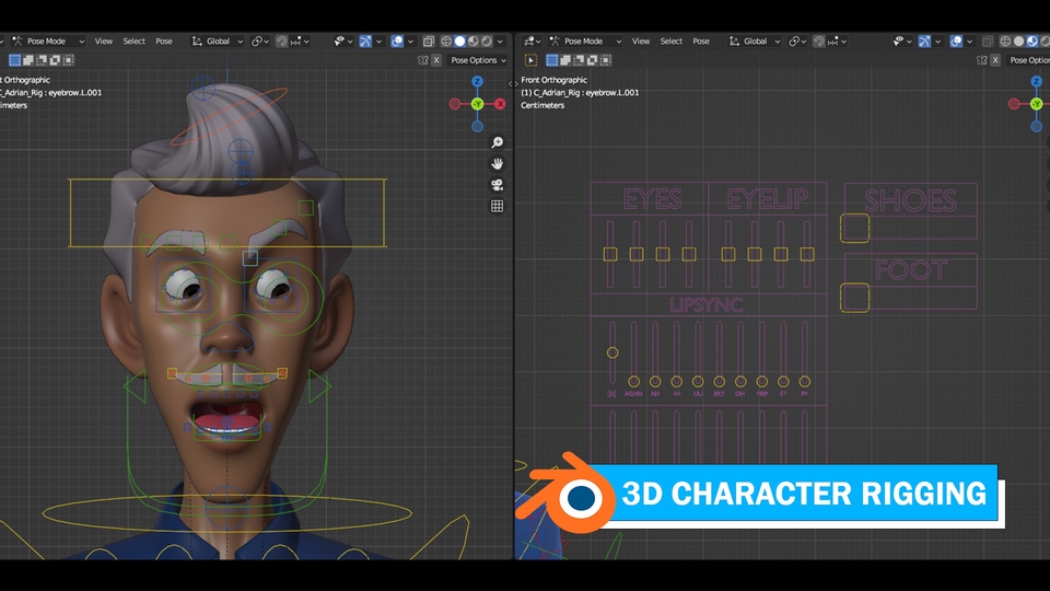 3D Character Rigging