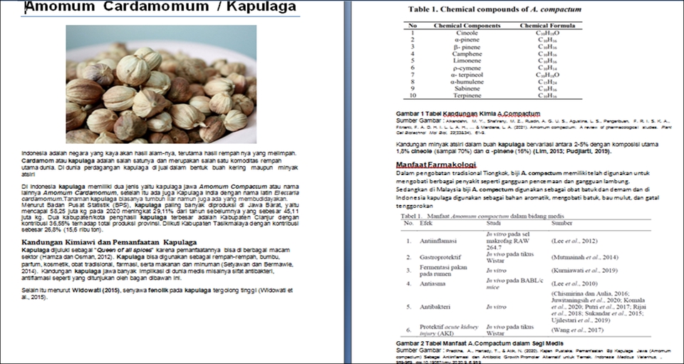 Penulisan Konten - Jasa Tulis Artikel, Essay, SEO-Friendly Content Writings - 11