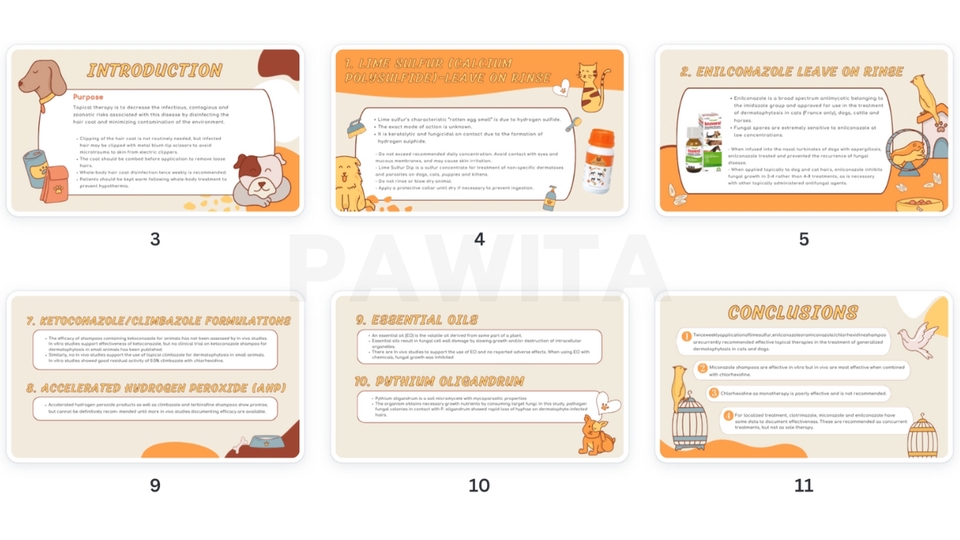 รับทำ presentation นำเสนอเกี่ยวกับ สุนัขและแมว