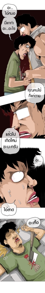 วาดภาพประกอบ - ภาพประกอบการ์ตูนในสไตล์ TAMZEN - 14