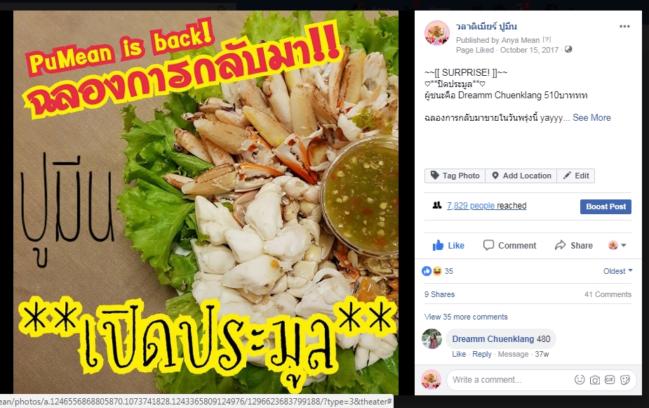 แอดมินดูแลเพจ เว็บไซต์ และร้านค้าออนไลน์ - AdminดูแลPage web  และเขียนcontent - 14