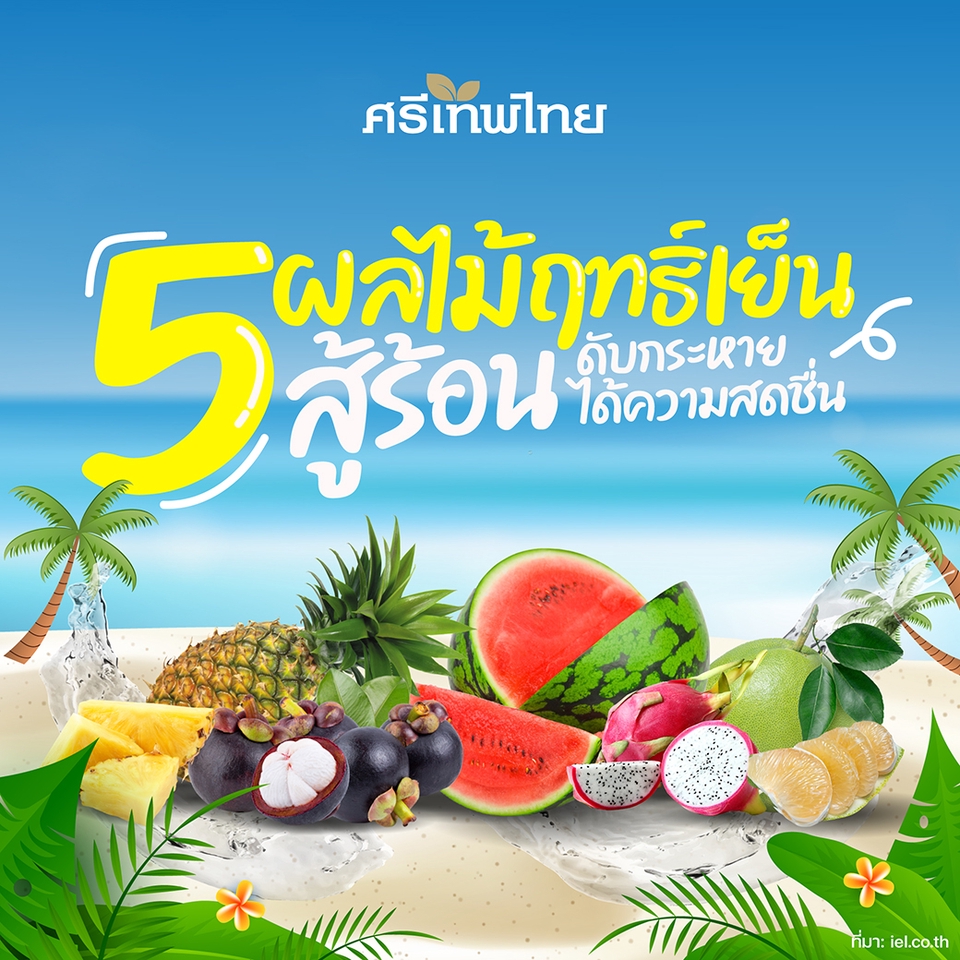 Banner โฆษณา - รับออกแบบสื่อโฆษณาทุกชนิด สื่อออนไลน์ทุก Platform / Banner / Infographic - 4