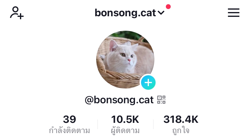 เขียนรีวิว - รับรีวิวสินค้าที่เกี่ยวกับแมว ใน Facebook IG Tiktok - 1