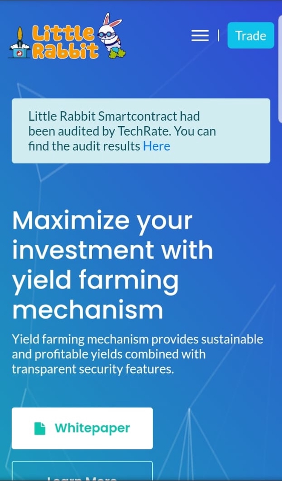 Jasa pembuatan website Little Rabbit: solusi web company profile aman dan terpercaya.