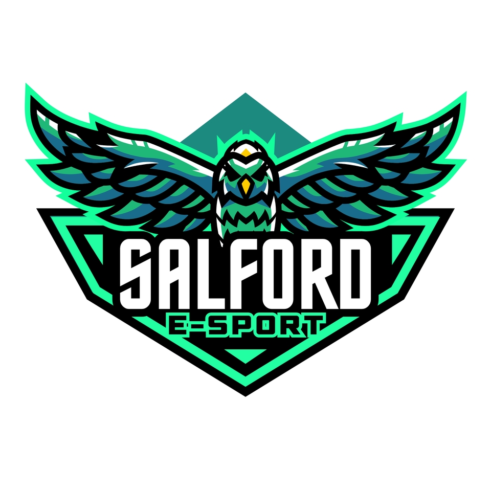 Logo esport dengan gambar burung hantu, desain logo esport keren, jasa desain logo esport, membuat logo esport, buat logo esport online, desain logo perusahaan esport, logo tim esport