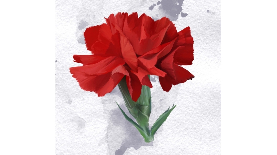 วาดภาพประกอบ - ภาพประกอบ สัตว์เลี้ยง ดอกไม้ธรรมชาติ หุ่นนิ่ง - 4