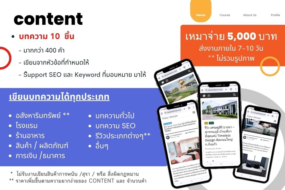 เขียนบทความ - เขียนบทความ+seo - 4