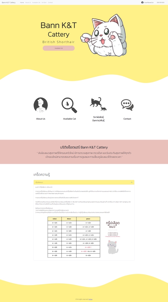 รับทำเว็บไซต์ขายสินค้า รับทำเว็บไซต์ขายของออนไลน์ รับทำเว็บ e-commerce สร้างเว็บขายของออนไลน์ สร้างเว็บขายของ สร้างเว็บไซต์ขายของ