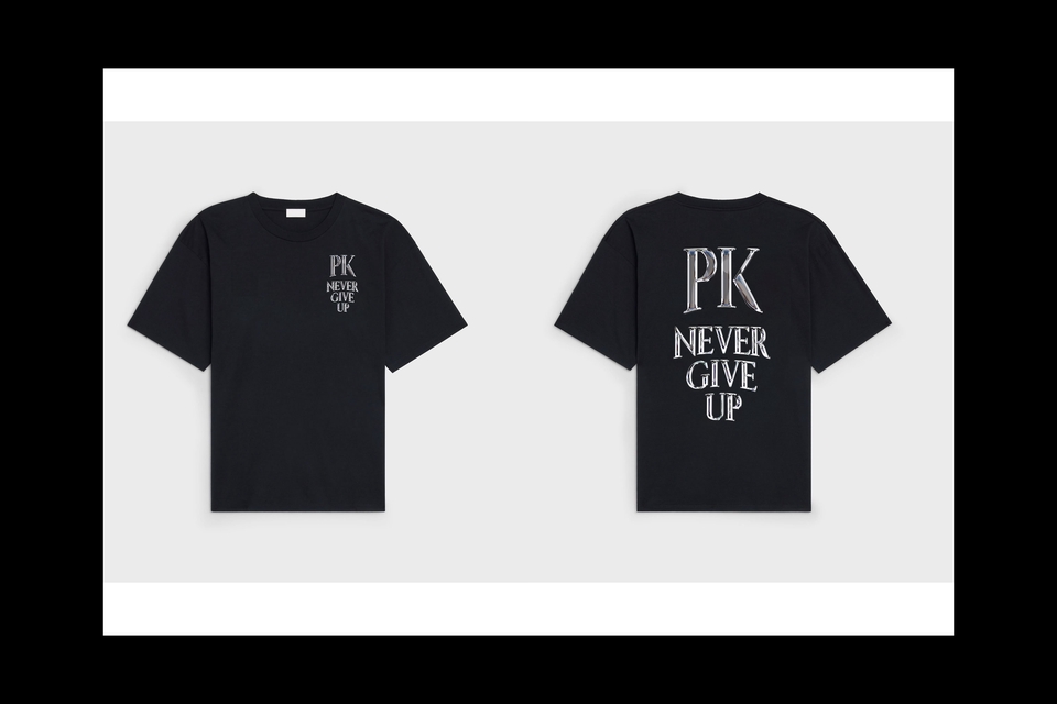 Logo - Never Give up - 4