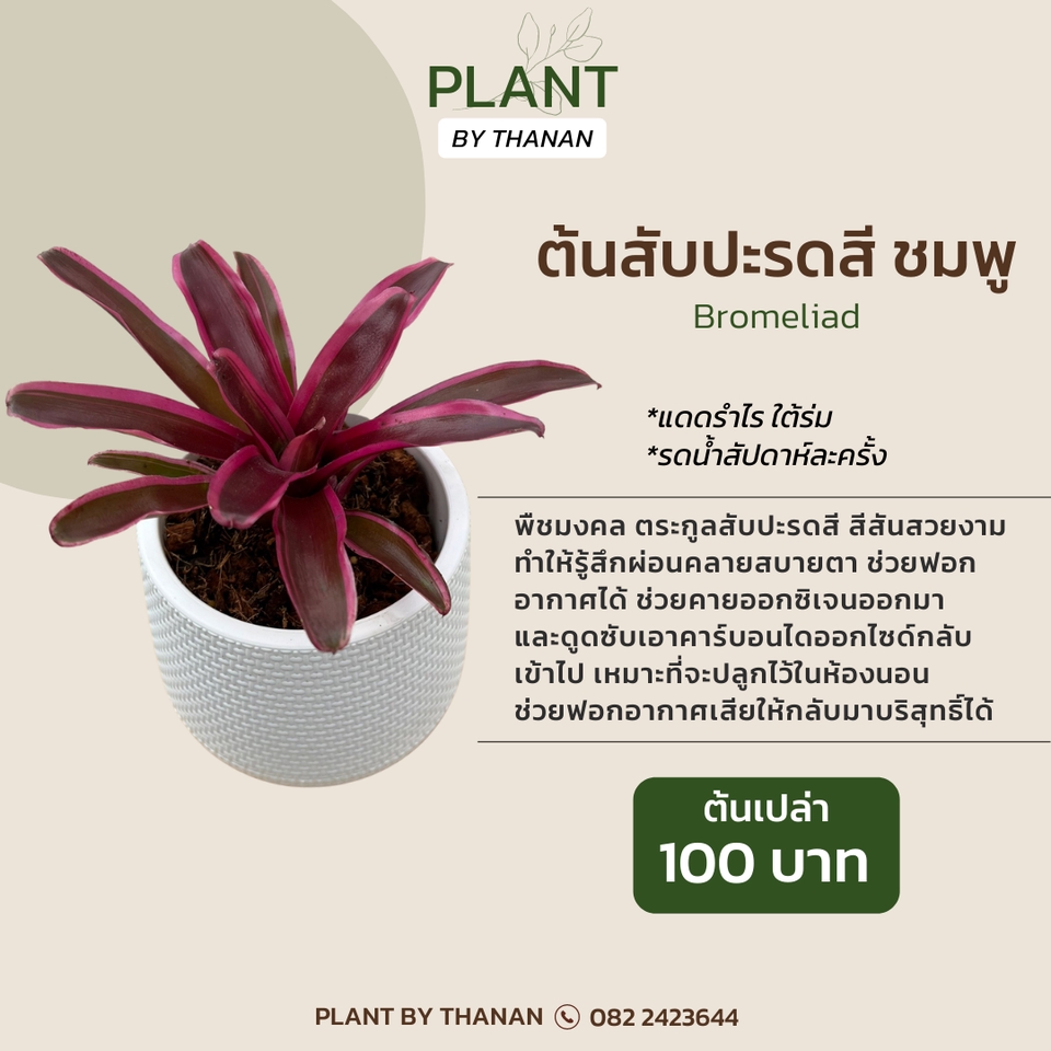 โปรโมทเพจ / เว็บ - คิดแคปชั่น เขียนคอนเทนต์ สื่อสารให้ลูกค้าเข้าใจ ชัดเจน ตัดสินใจง่ายขึ้น - 6