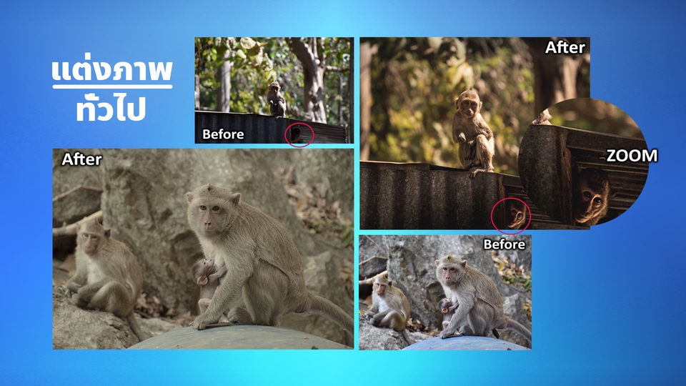 ไดคัท & Photoshop - เพิ่มความชัดของภาพ แต่งภาพ ไดคัท รีทัช - 13
