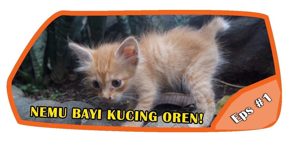 Banner Online - Desain Thumbnail Video Untuk Youtube ataupun Social Media - 6
