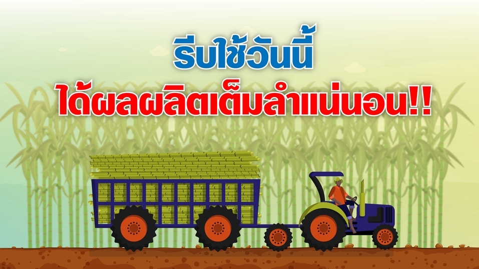 Motion Graphics - รับทำ Motion graphic & 2D animation คุ้มค่า คุ้มราคา คอนเฟิร์ม !!! - 1