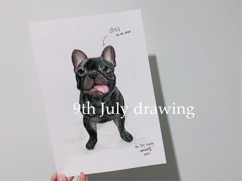 วาดภาพเหมือน Portrait - 9th July drawing : รับวาดภาพเหมือนสัตว์เลี้ยงตามสั่ง ภาพเหมือนสีไม้ - 20