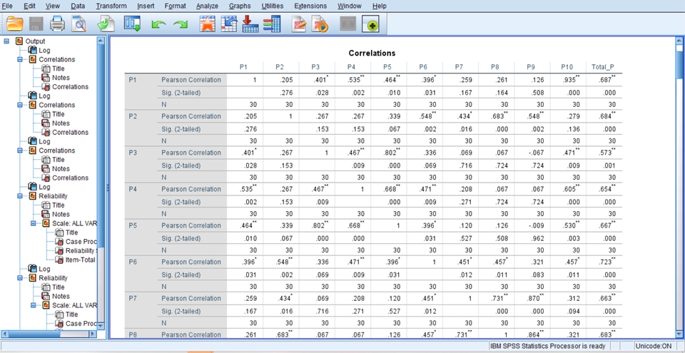 Jasa analisis data SPSS untuk analisis deskriptif statistik