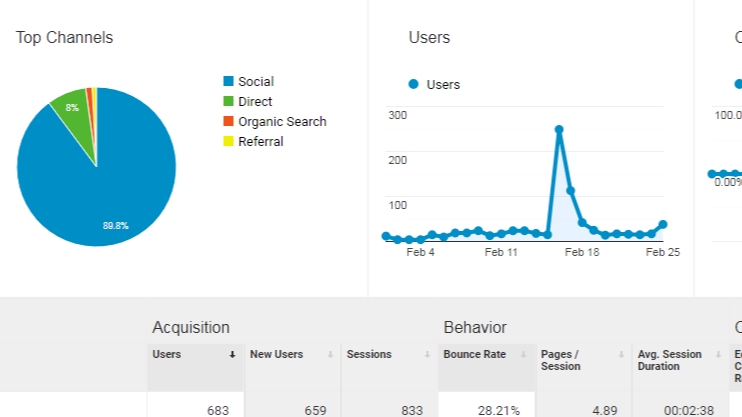 Digital Marketing - Market Research Analysis, Branding and Digital Marketing Strategy - 1