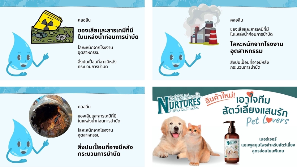 Presentation - รับออกแบบ  Presentation/Card ด้วย Canva - 26