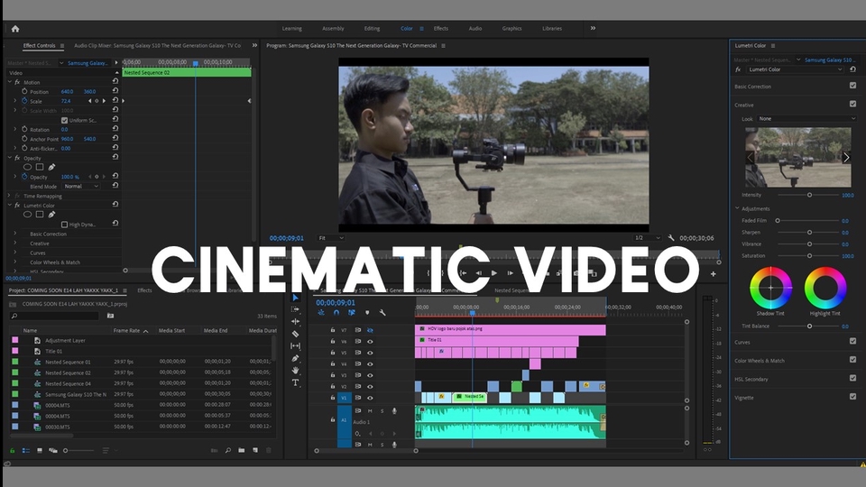 Video Editing - VIDEO EDITING EXPERT FOR YOUTUBE, INSTAGRAM, WEDDING, INFOGRAFIS ANIMATION - 1