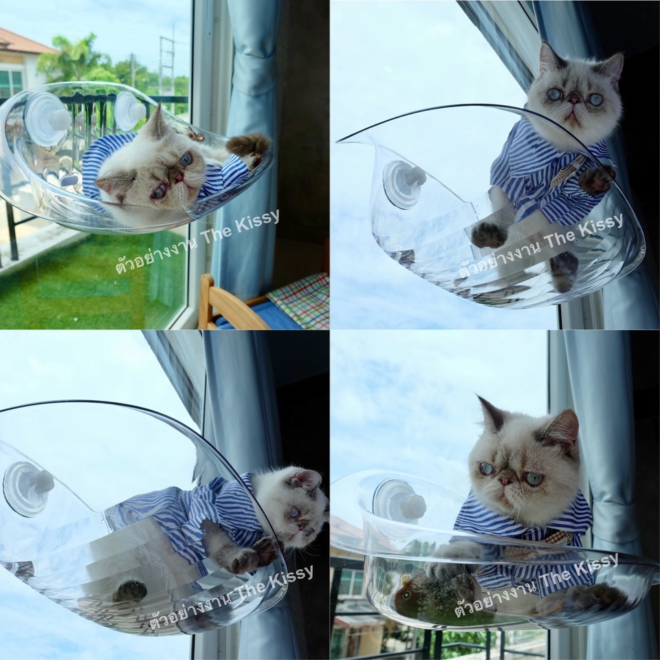 รับรีวิวสินค้า บล็อกเกอร์รีวิวสินค้า เน็ตไอดอลรีวิวสินค้า หา influencer รีวิวสินค้า รับรีวิวสินค้า tiktok รับจ้างรีวิวสินค้า