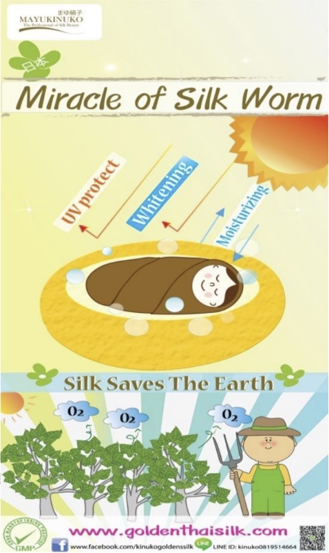 สื่อสิ่งพิมพ์และนามบัตร - เมนูอาหาร&เครื่องดื่ม | สื่อประชาสัมพันธ์ทุกชนิด - 17