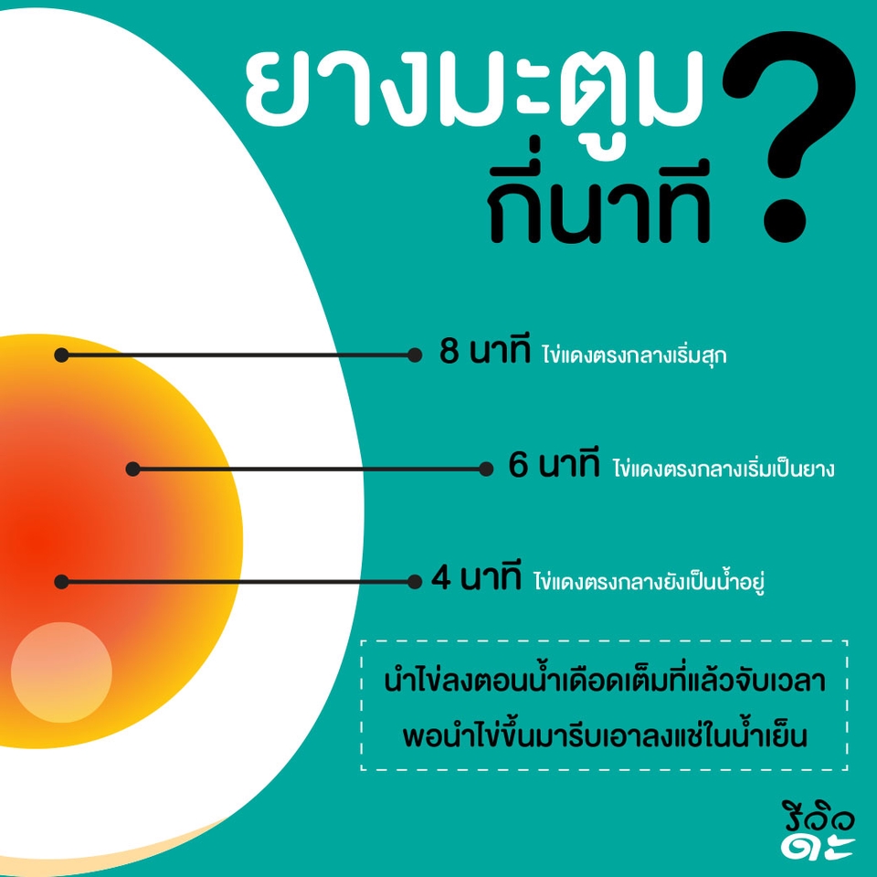 Infographics - รับออกแบบ infographics และสื่อนำเสนอ ราคามิตรภาพ - 6