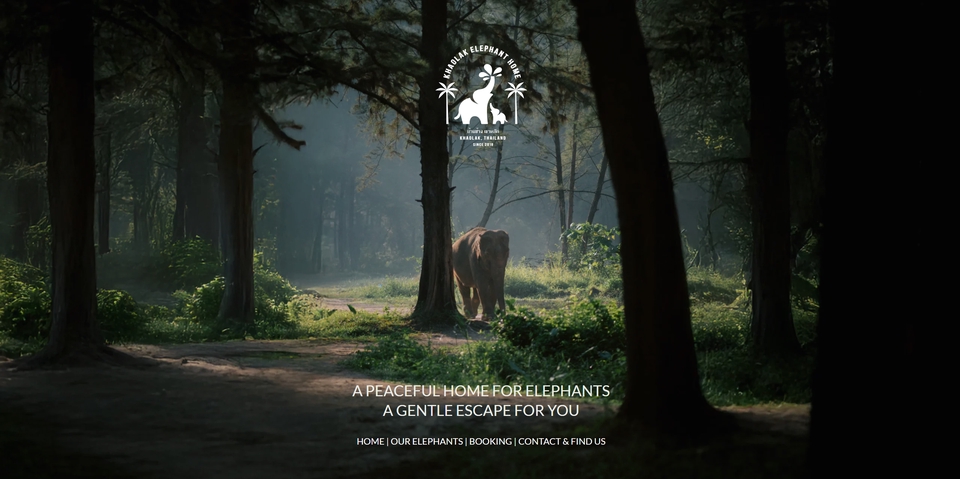 รับทำเว็บไซต์ wordpress ราคาถูก สร้างเว็บไซต์ wordpress รับทําเว็บไซต์ wordpress