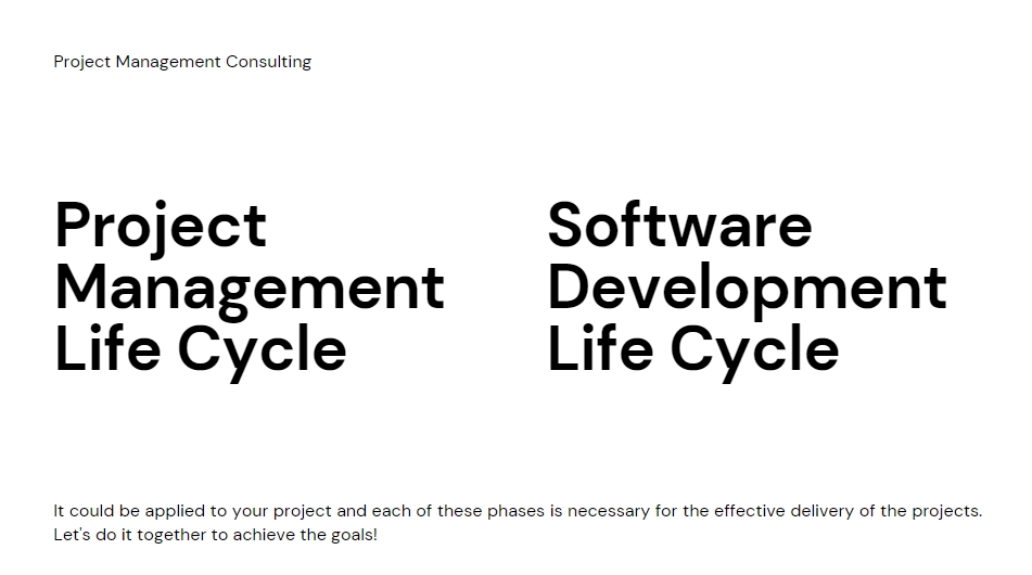 IT Project Management - Project Management Consulting for All - 2