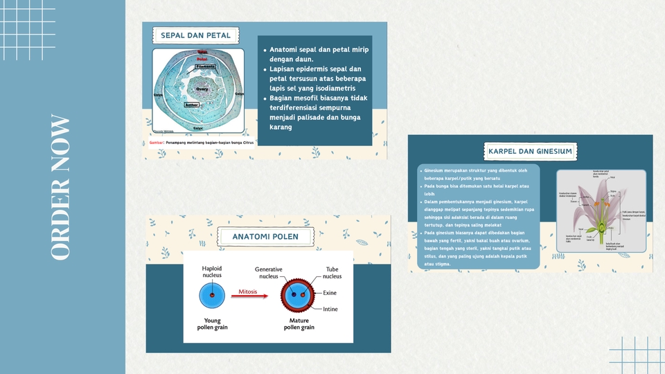 Presentasi - DESAIN PPT TUGAS SEKOLAH, KULIAH, SIDANG SKRIPSI - 4