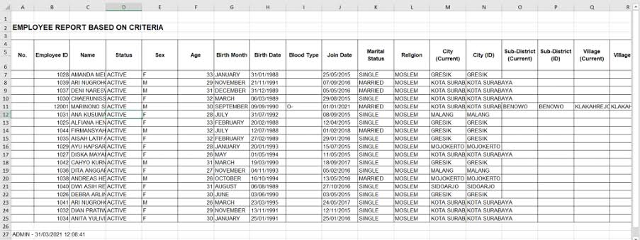 Jasa data entry laporan karyawan berdasarkan kriteria di Microsoft Excel.