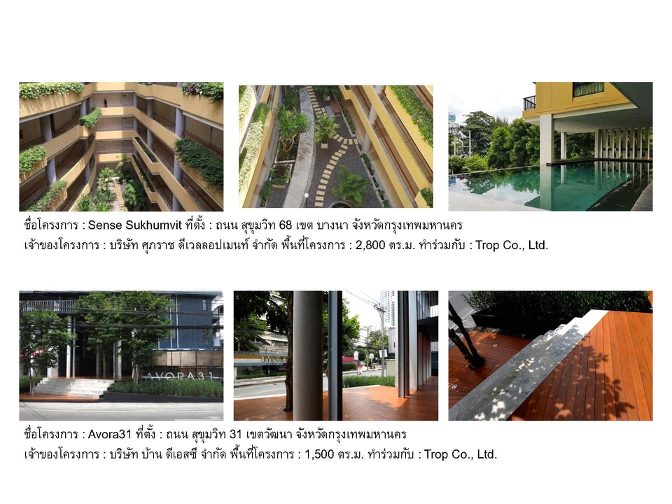 รับจัดสวน รับออกแบบสวน ภูมิทัศน์ บ้านพักอาศัย สวนสวย ตกแต่งสวน สวนหย่อม Landscape Design