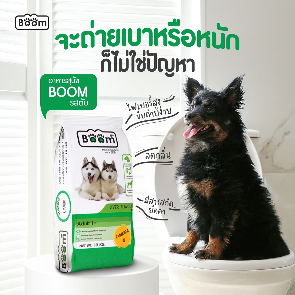 Banner โฆษณา - Ads โฆษณา ภาพตามสั่ง - 9
