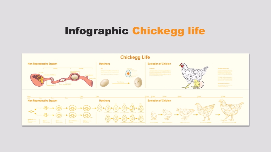 Banner โฆษณา - รับออกแบบ Banner โฆษณา และ Infographics - 5