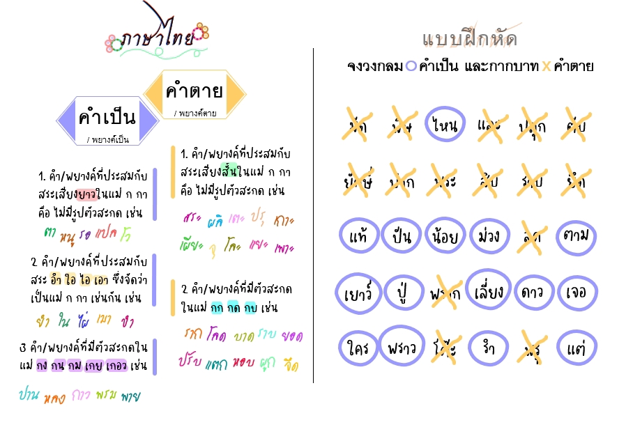 พิมพ์งาน และคีย์ข้อมูล - รับทำชีทสอนพิเศษ/ชีทสอนการบ้านทุกรายวิชา สวยๆ เก๋ๆ ดึงดูดเด็กน้อย~ - 5