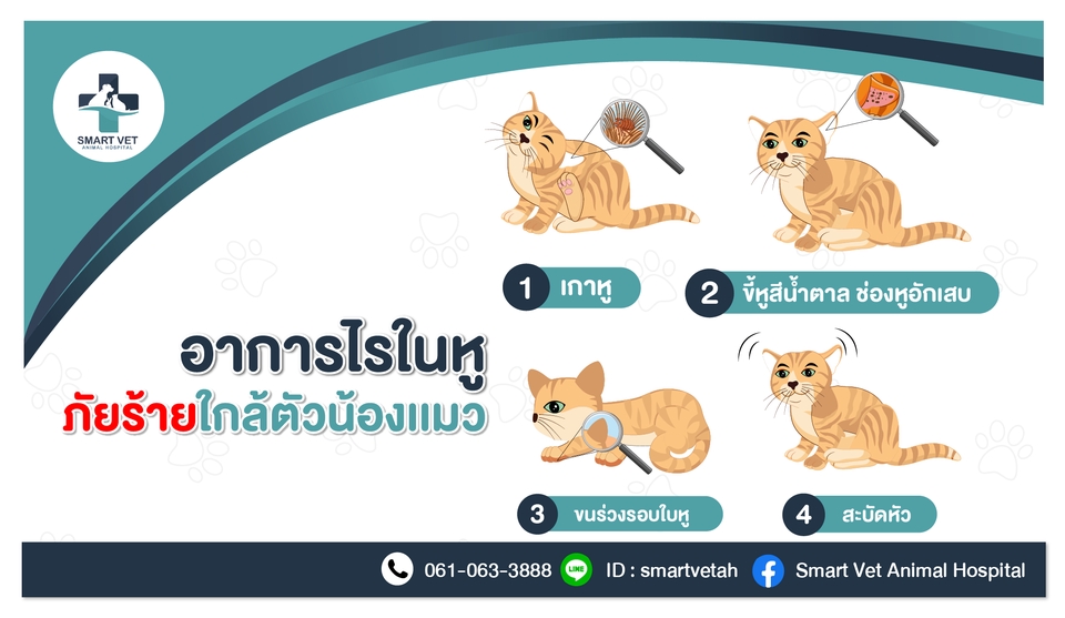 Infographics - บริการออกแบบ infographics ตอบโจทย์ลลูกค้า - 9