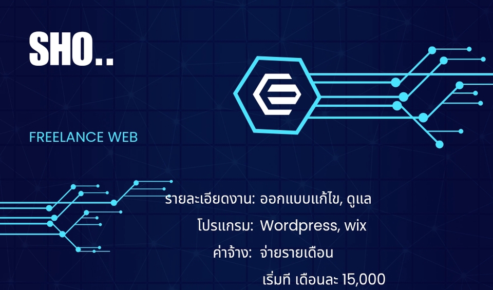 Wordpress - ออกแบบแก้ไขตกแต่งเว็บไซต์ - 5