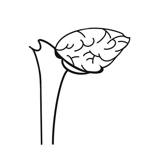วาดภาพประกอบ - บริการวาดภาพประกอบ - 18