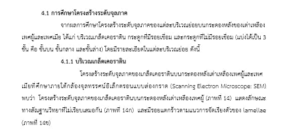 พิสูจน์อักษร - งานเกี่ยวกับเอกสารทั้งหมด  รวมถึงการเรียบเรียงบทความเกี่ยวกับงานวิจัยด้านวิทยศาสตร์ - 2